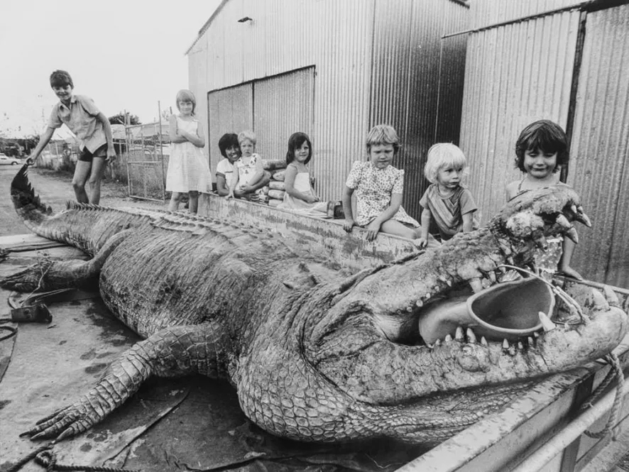 Alessi Sweetheart Notenkraker Zwart 7 Alessi Sweetheart Notenkraker Zwart - Afbeelding 5