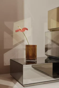 AYTM Folium Vaas Large Zwart -Ales Woonaccessoires Winkel x886x886 aytm folium vaas small5.jpg.pagespeed.ic .a1SvWxASu4