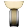 AYTM Torus Vaas Large Zwart/amber -Ales Woonaccessoires Winkel x886x886 aytm torus vaas 1515.jpg.pagespeed.ic .X3uGVYLmBS