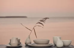 Bolia Arcs Kom Ø17 Set Van 2 -Ales Woonaccessoires Winkel x886x886 bolia arcs dinerbord 27 set van 22.jpg.pagespeed.ic . u6sK4hqML