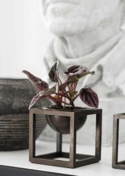 Audo Copenhagen Kubus Bowl Schaal Mini Ø7 Zwart 40 Audo Copenhagen Kubus Bowl Schaal Mini Ø7 Zwart -Ales Woonaccessoires Winkel x886x886 by lassen bowl mini woondecoratie15.jpg.pagespeed.ic .2XxSQxqM2j