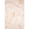 Desso Sense Of Marble Vloerkleed 200x300 Beige Marmer -Ales Woonaccessoires Winkel x886x886 desso sense of marble vloerkleed 200x3004.jpg.pagespeed.ic .CxQ I2XOKN