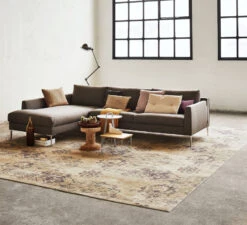 Desso Vintage 173.201 Vloerkleed 170x240 Gefestonneerd -Ales Woonaccessoires Winkel x886x886 desso vintage 173 201 vloerkleed 170x240 gefestonneerd1.jpg.pagespeed.ic .OmoY2 1Klq