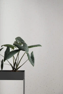 Ferm Living Confetti Behang Grey 14 Ferm Living Confetti Behang Grey -Ales Woonaccessoires Winkel x886x886 ferm living confetti behang sfeerfoto 1.jpg.pagespeed.ic .6LinXMx3BL