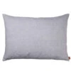 Ferm Living Heavy Linen Kussen 80x60 Lilac -Ales Woonaccessoires Winkel x886x886 ferm living heavy linen kussen 60x401.jpg.pagespeed.ic .kPZlTZSQr2