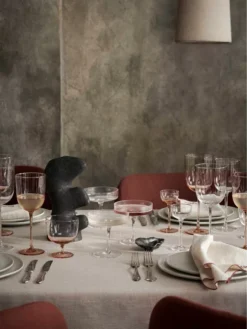 Ferm Living Host Water Glas Set Van 2 Blush -Ales Woonaccessoires Winkel x886x886 ferm living host water glas set van 23.jpg.pagespeed.ic .xu1dO2dVl8