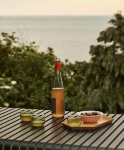 Hay Tint Glas 0.3L Set Van 2 Groen -Ales Woonaccessoires Winkel x886x886 hay tint glas 0 3l set van 216.jpg.pagespeed.ic .t58V9vyAsz