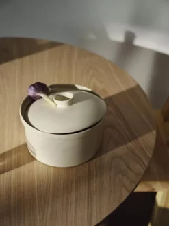 Iittala Teema Ovenschaal Met Deksel Ø20.9 Linnen 11 Iittala Teema Ovenschaal Met Deksel Ø20.9 Linnen -Ales Woonaccessoires Winkel x886x886 iittala teema schaal met deksel5.jpg.pagespeed.ic . c1siPdsdD