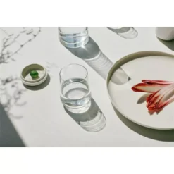 Iittala Essence Glazen 35cl Set Van 2 -Ales Woonaccessoires Winkel x886x886 jardinico flexx salontafel 120x1204.jpg.pagespeed.ic .wgnDOauH1w