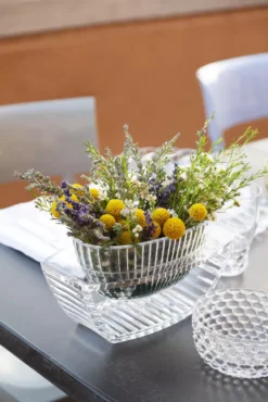 Kartell U-Shine Schaal Kristal -Ales Woonaccessoires Winkel x886x886 kartell u shine schaal1.jpg.pagespeed.ic .UWGmQHtRLc