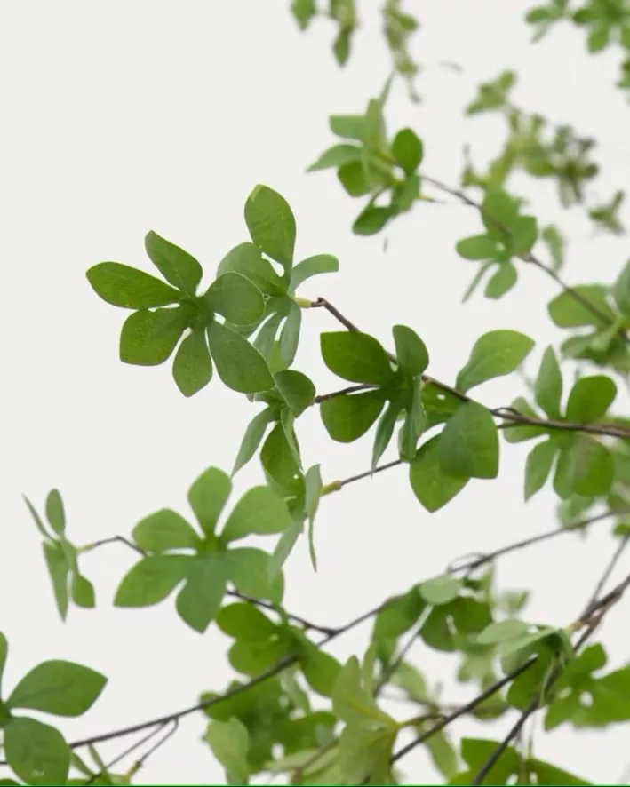 Kave Home Enkianthus Kunstplant 214 4 Kave Home Enkianthus Kunstplant 214 - Afbeelding 2