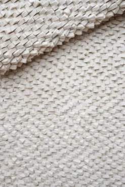 Linie Design Crush Vloerkleed 200x300 Light Grey -Ales Woonaccessoires Winkel x886x886 linie design crush vloerkleed 140x2006.jpg.pagespeed.ic .GWLsYvcN y