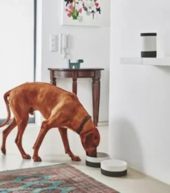 MiaCara Coppa Voorraadpot Nude 12 MiaCara Coppa Voorraadpot Nude -Ales Woonaccessoires Winkel x886x886 miacara coppa voorraadpot5.jpg.pagespeed.ic .WHiTrOE69s 1