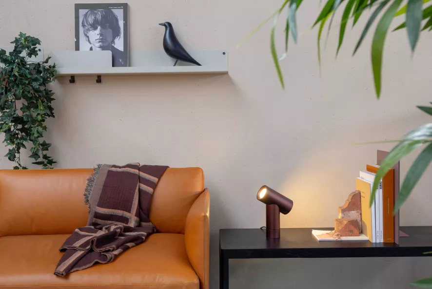 Vitra Eames House Bird Vogel Collectors Item 16 Vitra Eames House Bird Vogel Collectors Item - Afbeelding 14