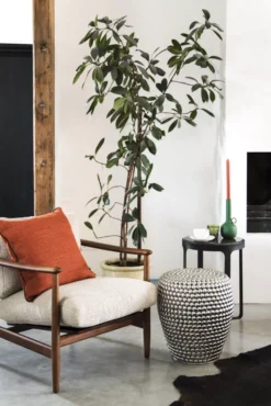 POLSPOTTEN Spartan Kandelaar 26 Oranje -Ales Woonaccessoires Winkel x886x886 pols potten todd fauteuil14.jpg.pagespeed.ic .i1u6zQEW7t