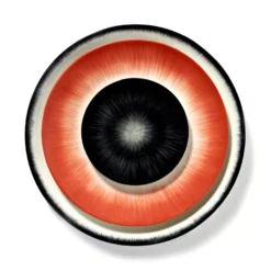 Serax Dé Tableware By Ann Demeulemeester Dinerbord Ø24 White/red 5 28 Serax Dé Tableware By Ann Demeulemeester Dinerbord Ø24 White/red 5 -Ales Woonaccessoires Winkel x886x886 serax d tableware by ann demeulemeester ontbijtbord 17 524.jpg.pagespeed.ic .HAU KIXk2V