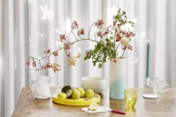 Vitra Herringbone Vessels Bowl Kom Ø19.5 Mint -Ales Woonaccessoires Winkel x886x886 vitra herringbone vessels vaas klein1.jpg.pagespeed.ic .4v6 wrRyFV