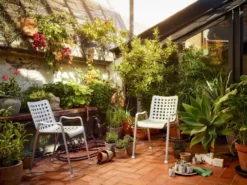 Vitra S-Tidy Opberger Poppy Red -Ales Woonaccessoires Winkel x886x886 vitra s tidy opberger6.jpg.pagespeed.ic .VJQ9y69flt